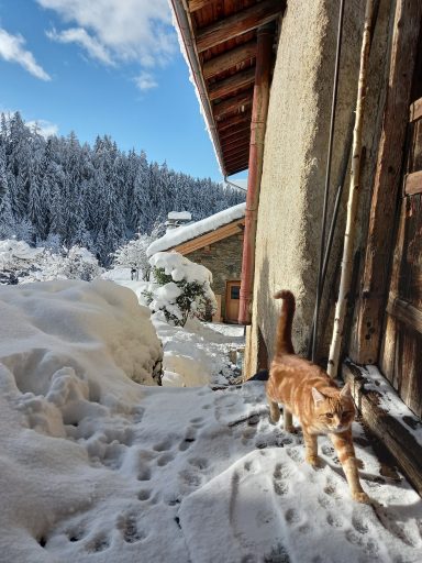 montagne chalet location bourg saint maurice les arcs ski